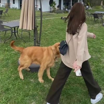 胡萝卜小姐
